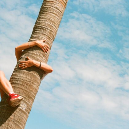 Woman climbing a coconut tree in Goa under a bright blue sky.