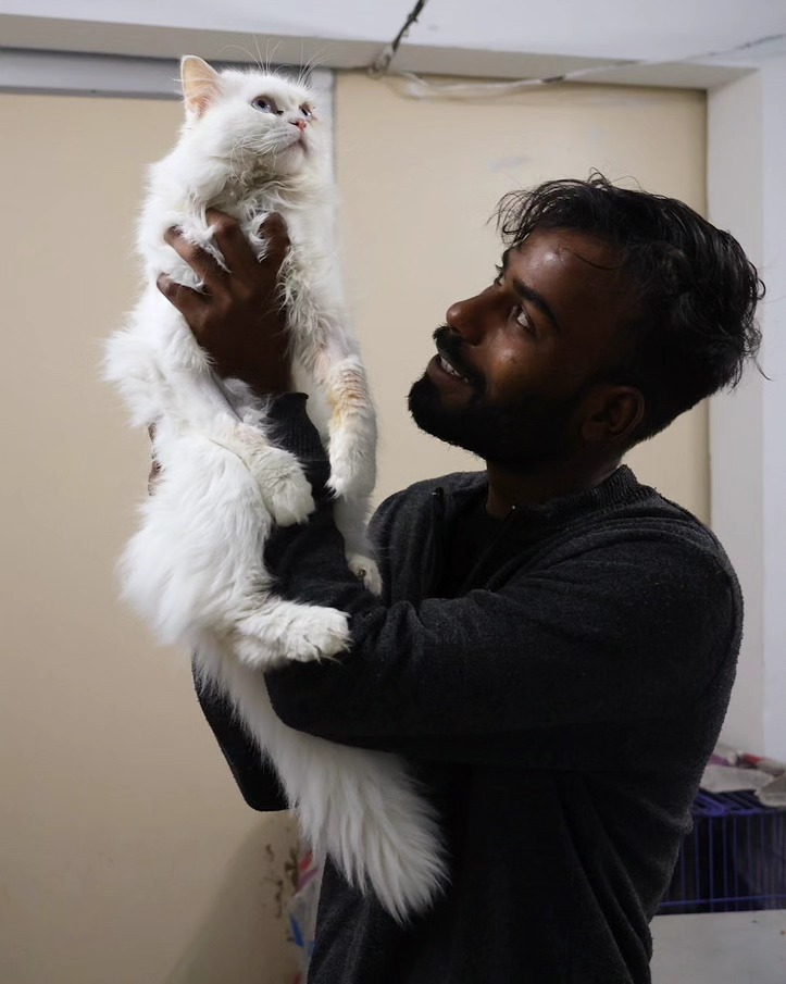 A rescued cat held gently in the air by a veterinary clinic worker in Rishikesh, India